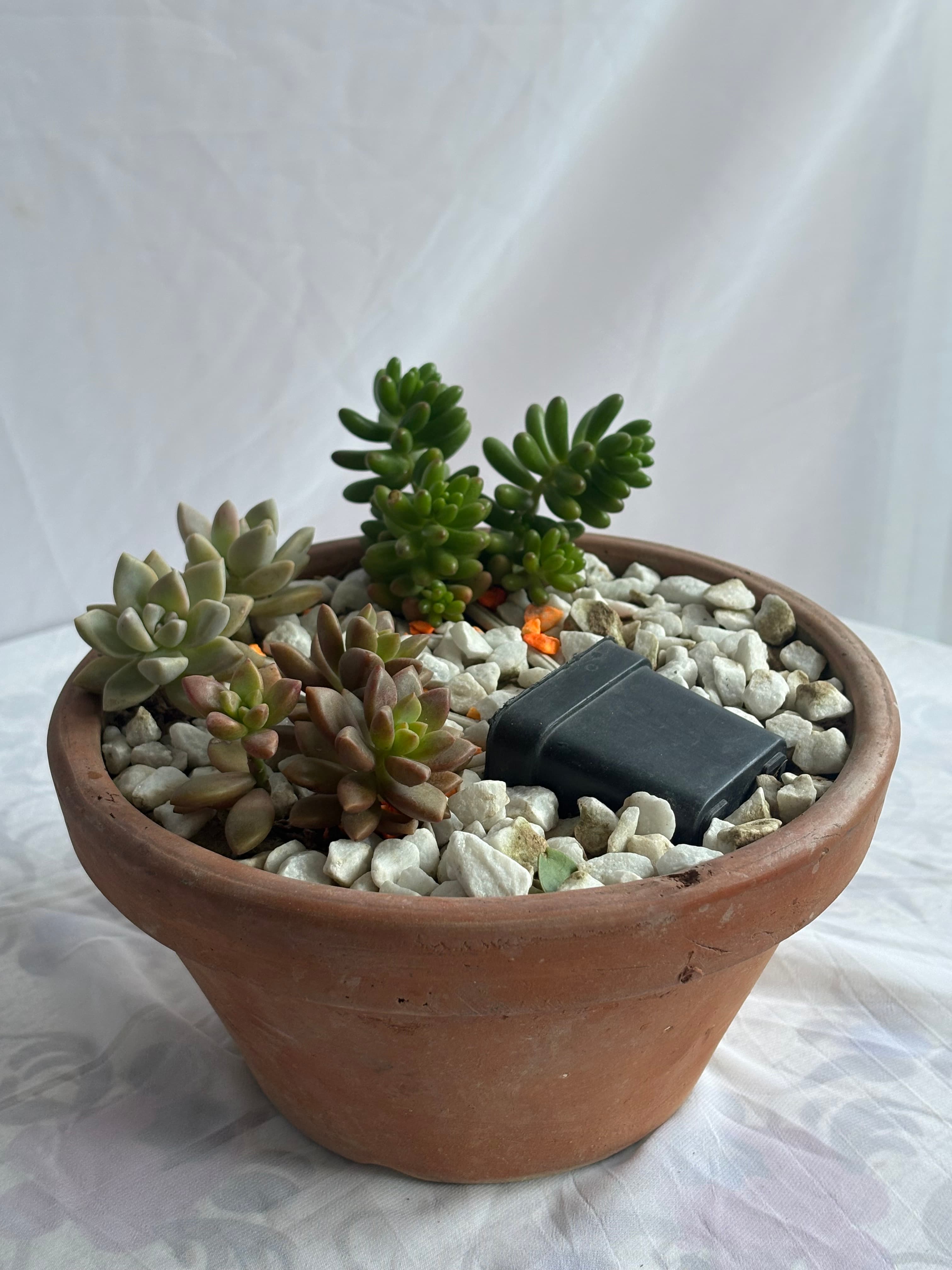 Mini Zen Garden thumb 1