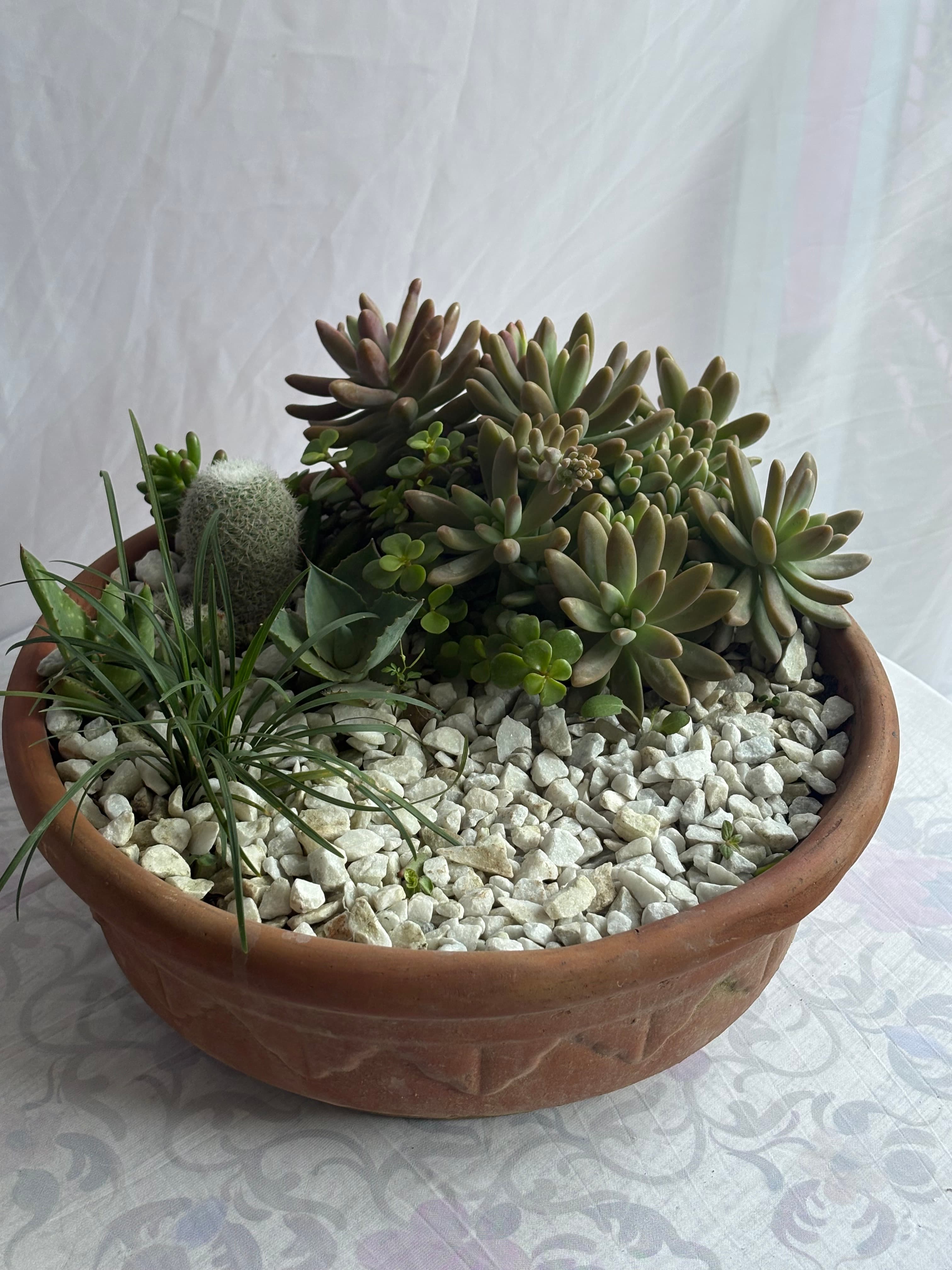 Zen Garden Standard thumb 1
