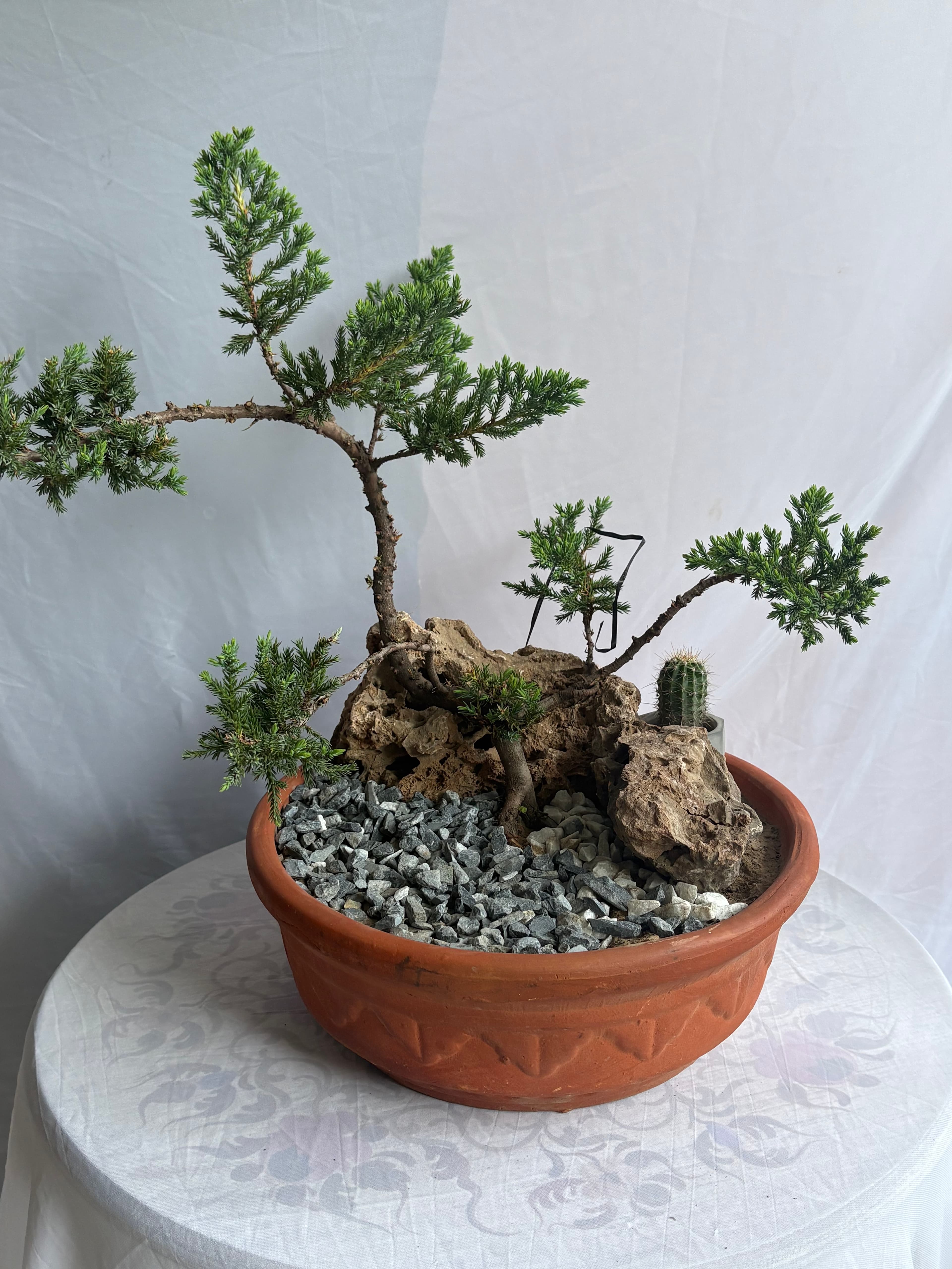 Zen Garden Luxe thumb 1