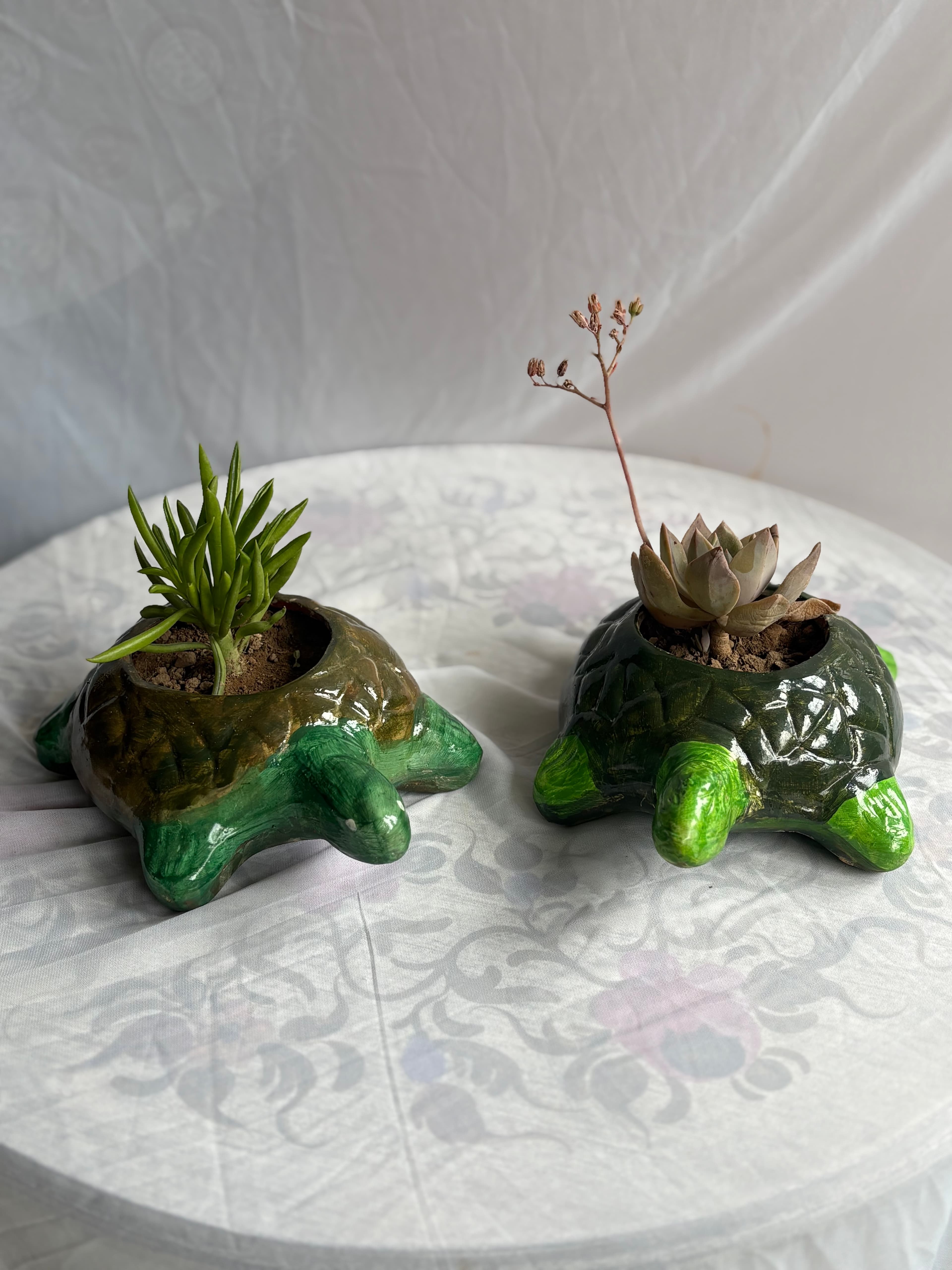 Mini Turtles thumb 1