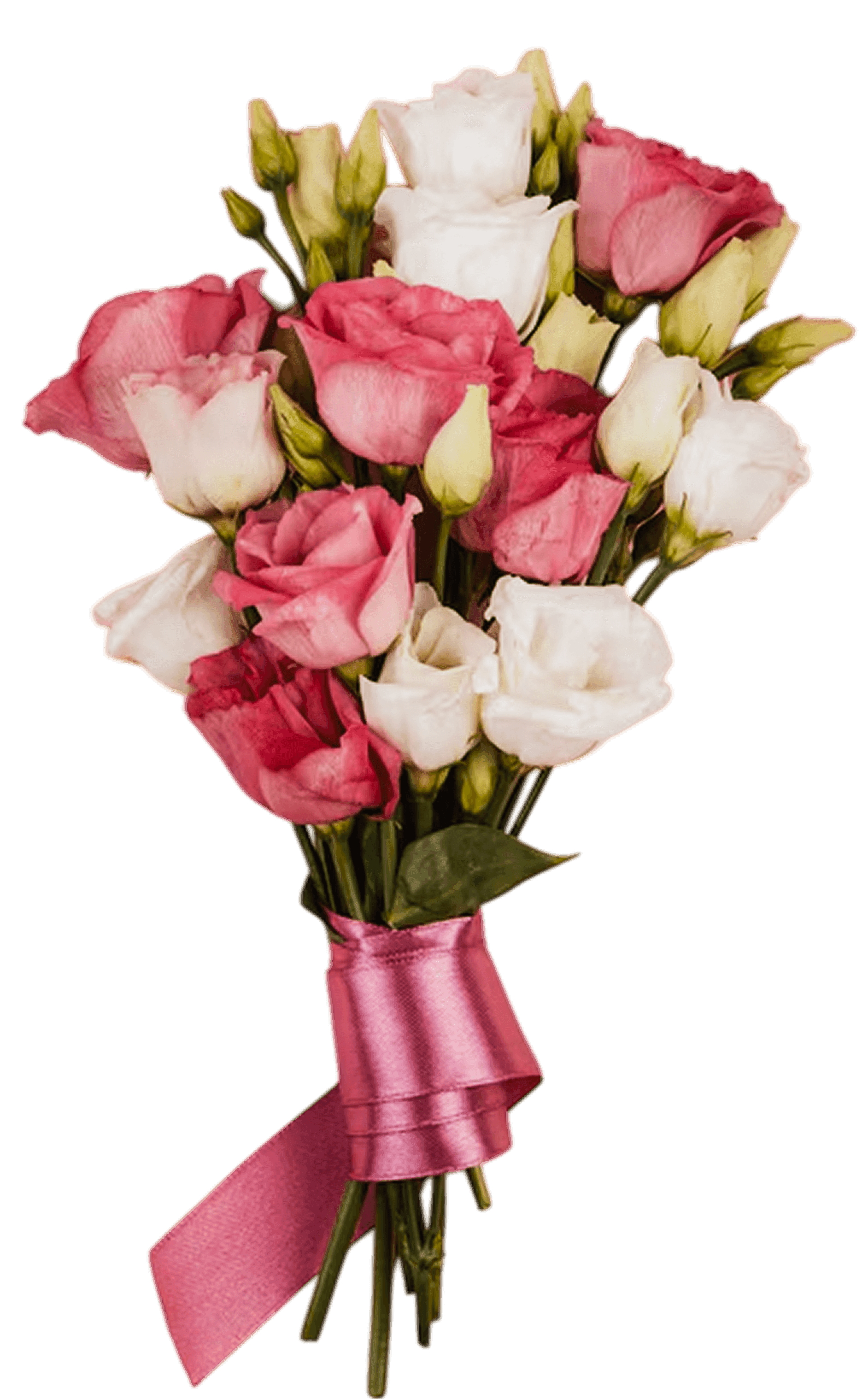 Tulip Charm Collection